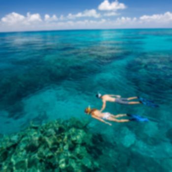 Great Barrier Reef Snorkel