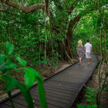 Eco Walk on Green Island