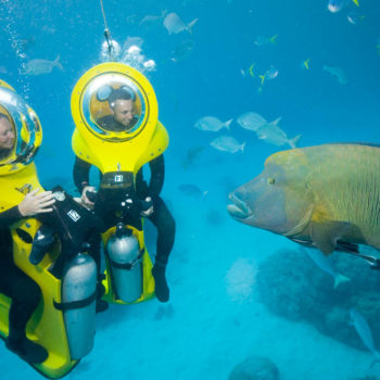 Scuba Doo Outer Great Barrier Reef
